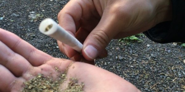 Конопля - наркотик старта